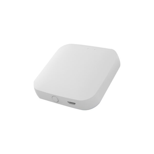 SLG200 Wireless Gateway BLE - Diy Protect