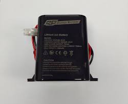 24V 1500mAh Lithium Ion DigiDoor Battery